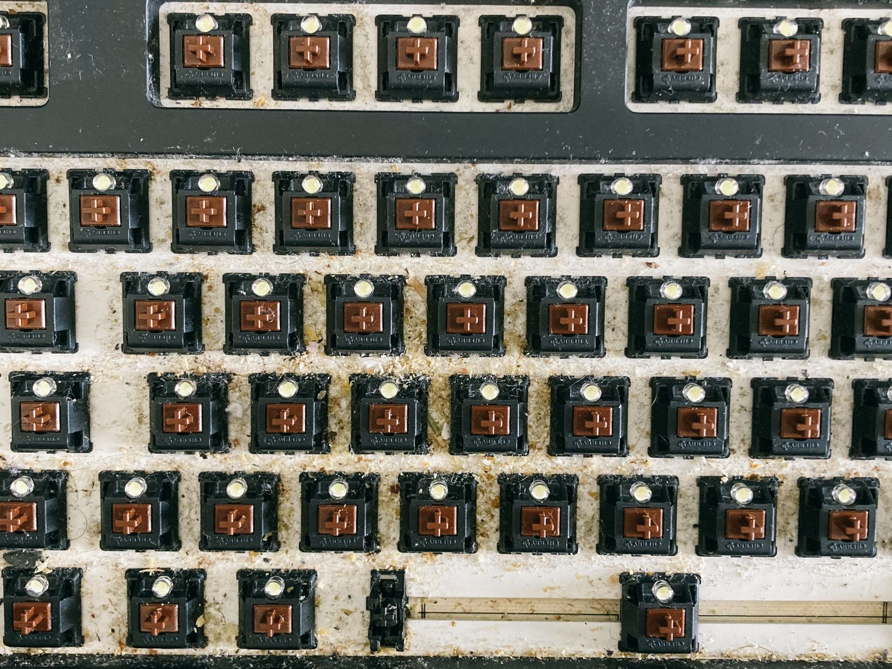 Unlock Peak Performance: The Best Mechanical Keyboards for 2026 3 Close-up of various mechanical keyboard switches and keycaps.