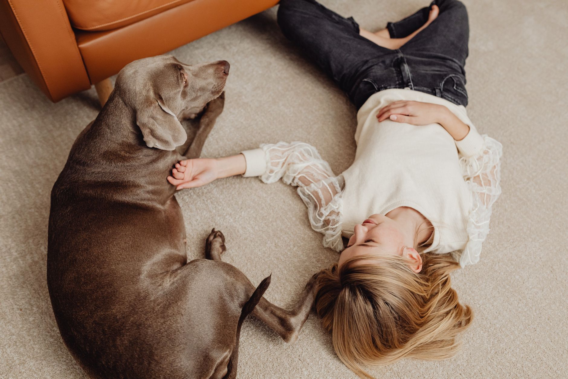 The Ultimate Guide to Robot Vacuums for Pet Hair in 2026 9 Close-up of pet hair accumulating on a carpet before cleaning.
