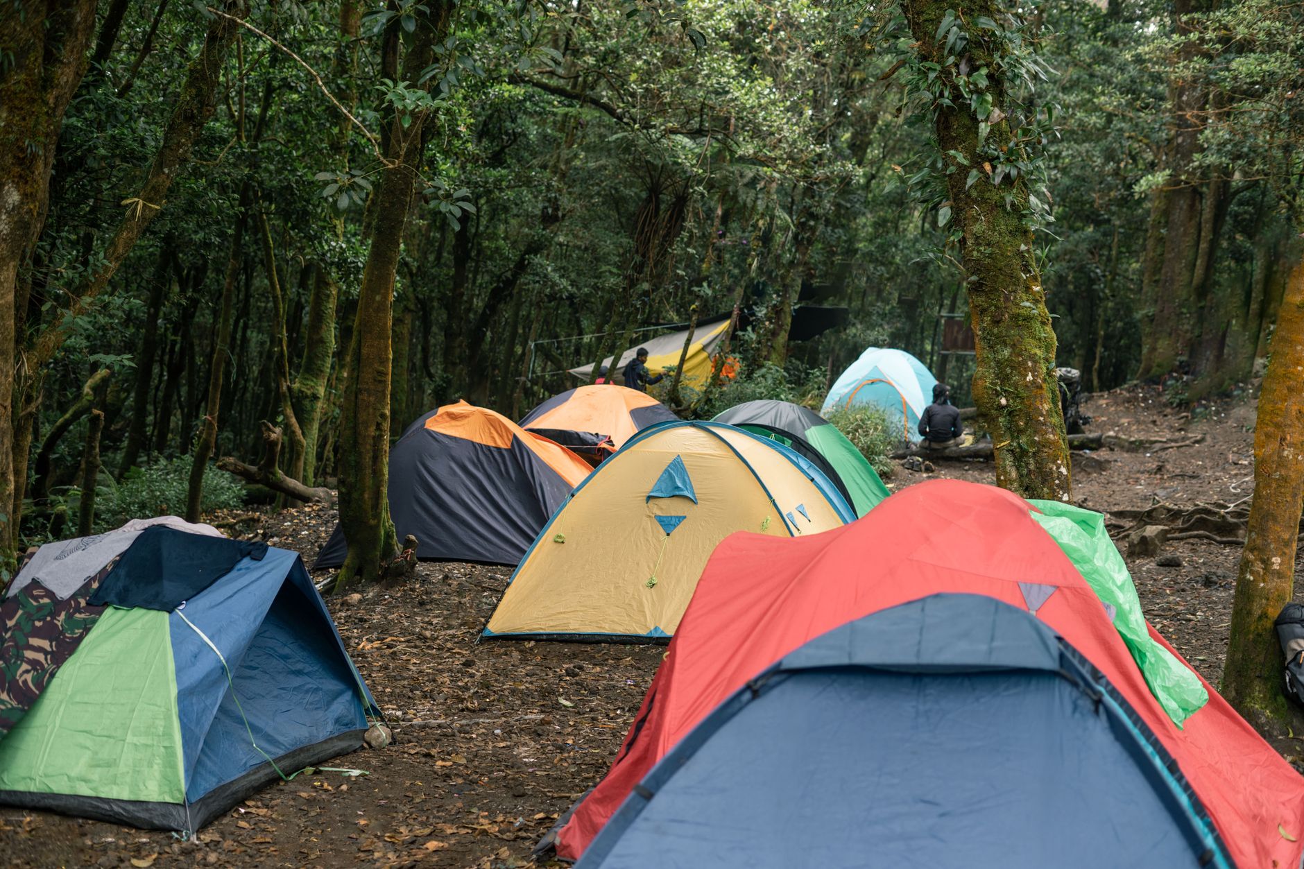 Reliable portable power stations for camping powering outdoor gear in a tent