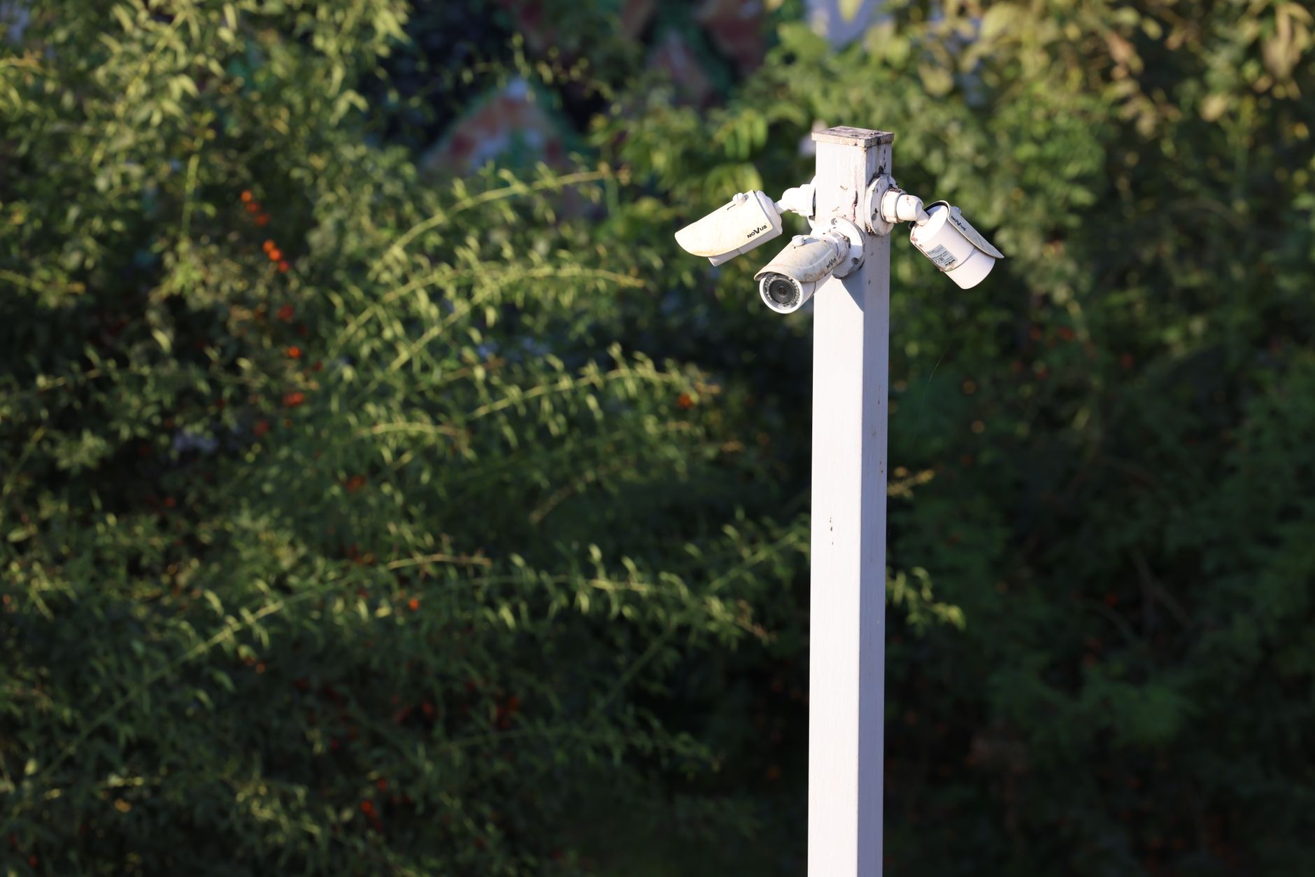 An outdoor security camera mounted on a wall, monitoring a yard