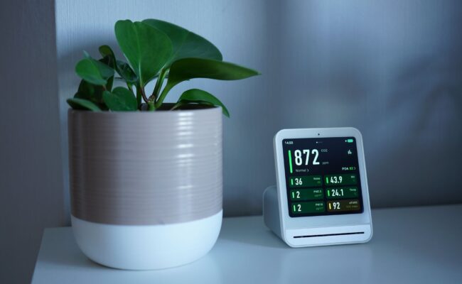 Breathe Easier: The Best Air Purifiers for 2026 Revealed 3 A woman enjoying fresh air, thanks to the best air purifiers.